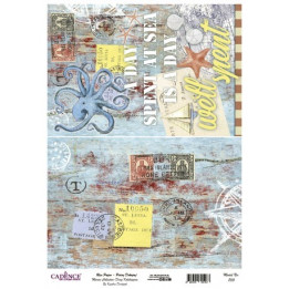 copy of Papel de arroz esfera reloj